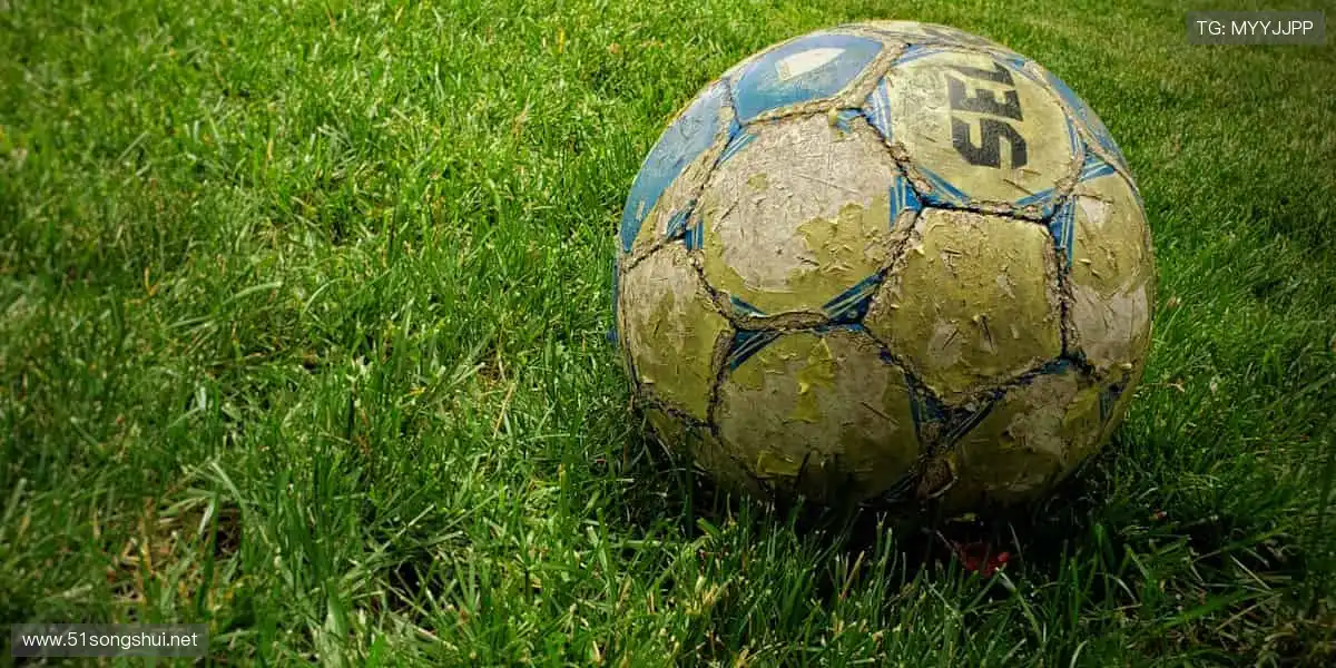 💬边看边聊,弹幕狂欢点燃观赛热情!🎉